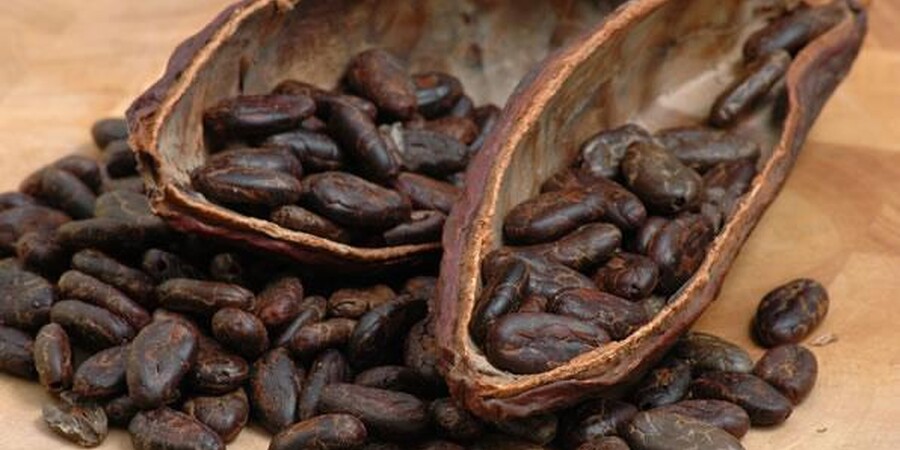 History of Chocolate