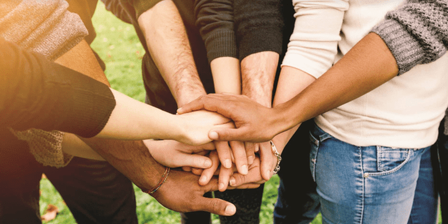 Action Wellness Announces New Board of Director