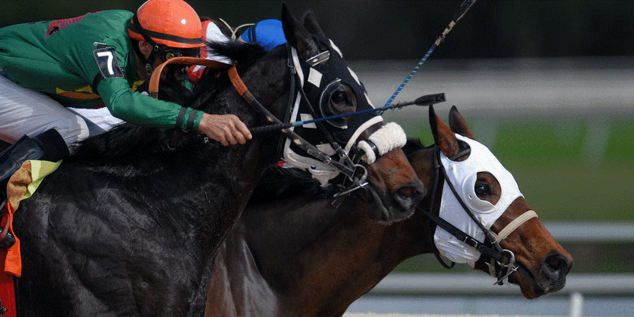 Best 2022 Kentucky Derby Horses To Watch