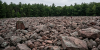 The 16-Acre "Sea of Rocks" in Carbon County