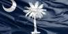 The Palmetto State's Divisions: Counting South Carolina's Counties