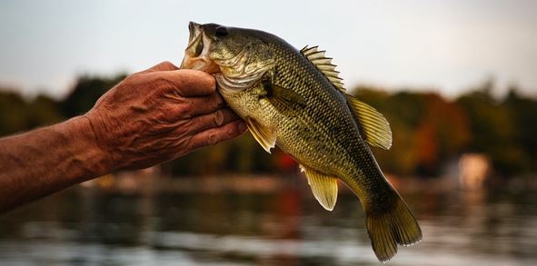 5 Fall Fishing Lakes Near Philadelphia