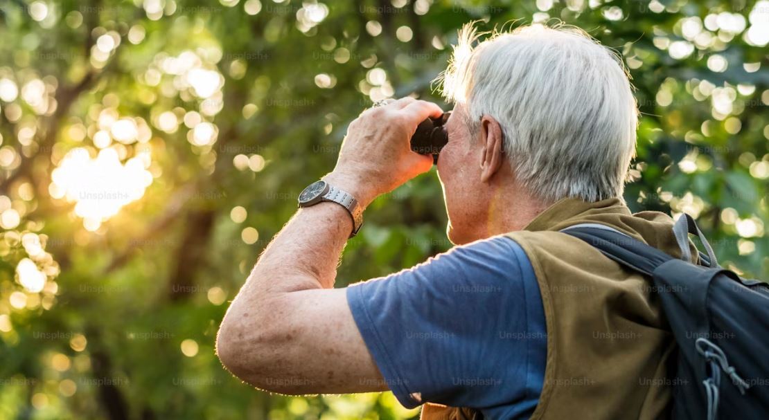 Birdwatcher