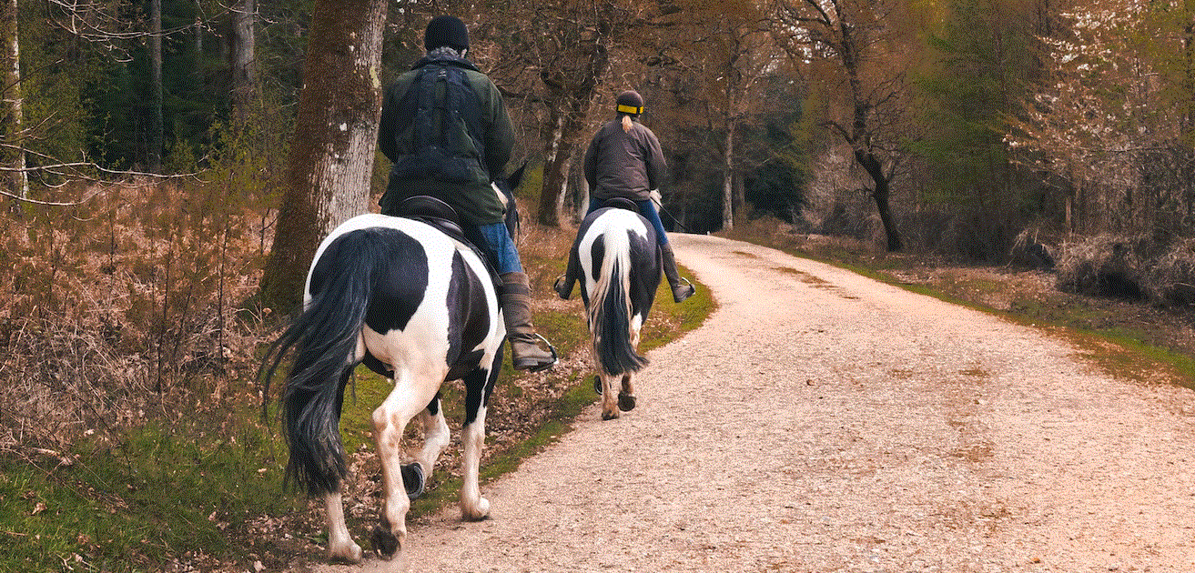 Where to Go Horseback Riding in New Jersey