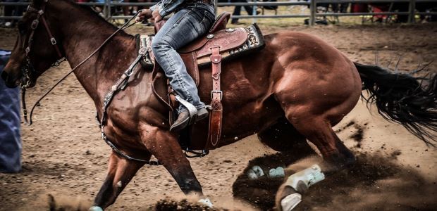 Where to Find the Best Rodeo in Pennsylvania