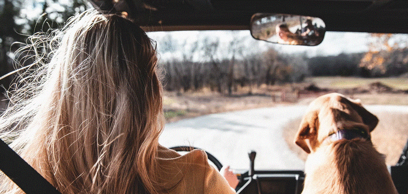 The Ultimate Road Trip Through Central Pennsylvania