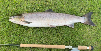 5 Best Salmon Fishing Spots in New York State