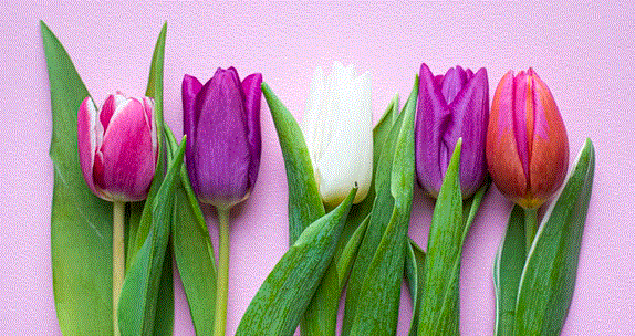 The History of Easter in Pennsylvania: A Cultural Tapestry