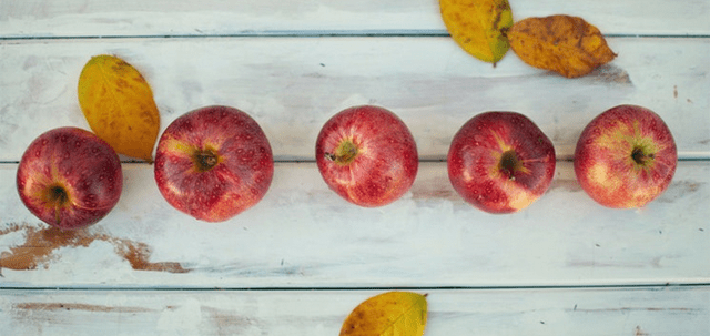 Bounty of the County Celebrates Adams County's Harvest 