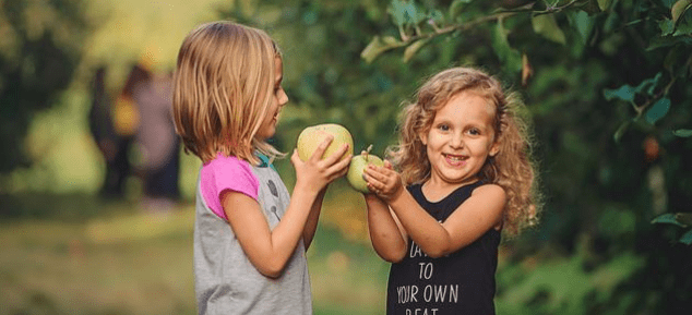 Linvilla Orchards Apple Festival and Pie Eating Contest