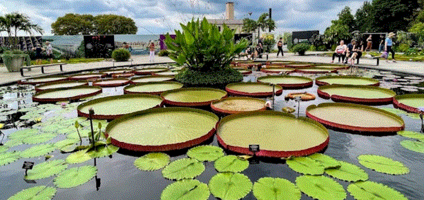Take a Romantic Walk at Longwood Gardens in Chester County