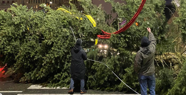 Here's How to Recycle Your Christmas Tree in Philly