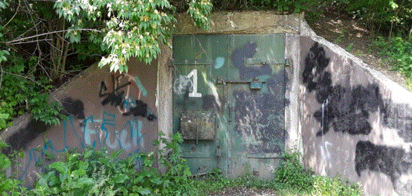 The Abandoned Alvira Bunkers in Union County