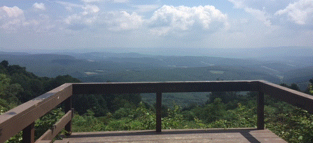 Exploring Skyline Drive Vista in the Gallitzin State Forest