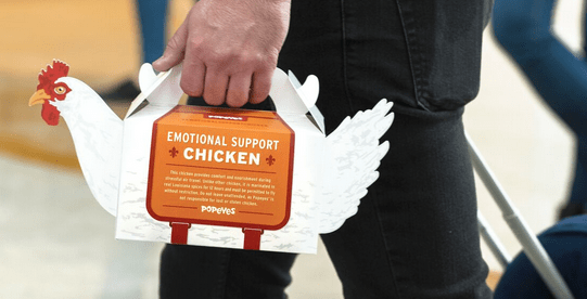 Popeyes Emotional Support Chicken at The Philly Airport