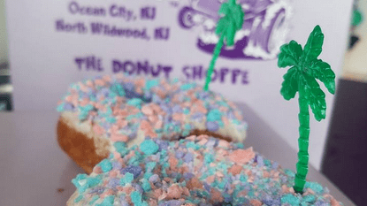 The Fractured Prunes Wildwood Days Donut