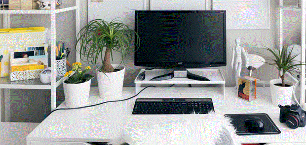 Tips For Purchasing Renters Insurance in Philadelphia