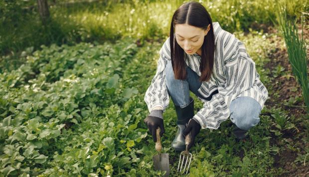 How to Romanticize Your Yard Work a Little More Easier
