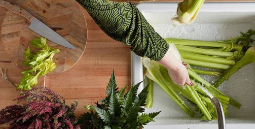 Hygiene Throughout: Ensuring Safe Water Quality in Food Preparation