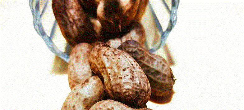 Georgia Boiled Peanuts
