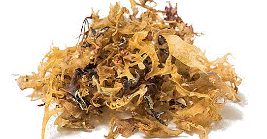 The Health Benefits of Sea Moss