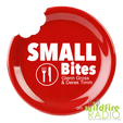 Small Bites Indie Philly Radio