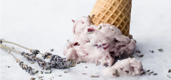 9 Best Ice Cream Parlors in West Virginia
