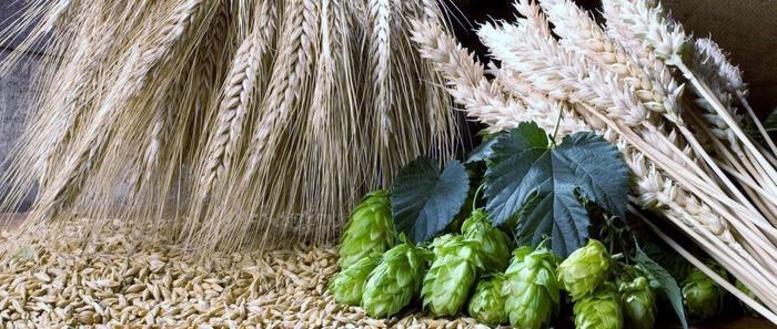 How To: The Basic Guide to Beer Making