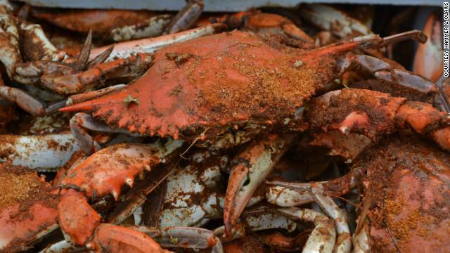 Maryland Steamed Crabs