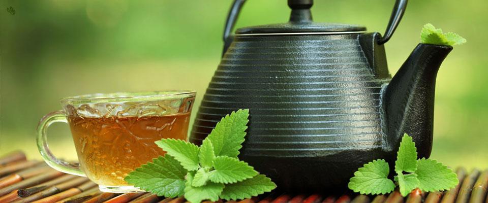 is green tea good for you