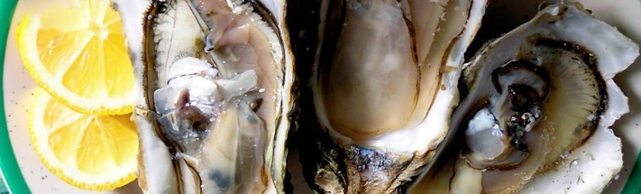 Guide to Cooking Great Oysters