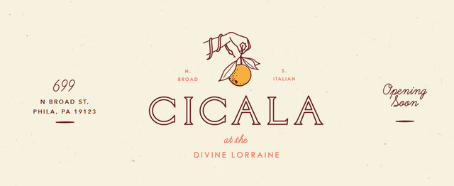 Cicala at the Divine Lorraine