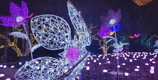  Where to Find The Best Holiday Light Show in Pennsylvania?