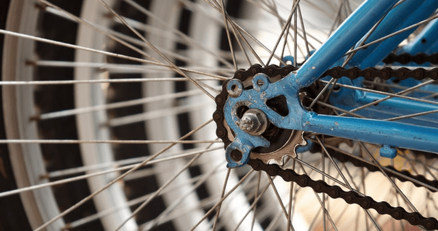 Lineup for Philly Free Streets on North Broad