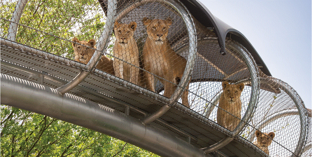 Philadelphia Zoo to Host Inaugural Zoo-a-Thon