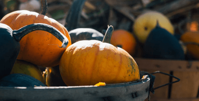 Reading Terminal Markets Harvest Festival