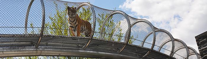Zoo 360 - Animals at the Philadelphia Zoo