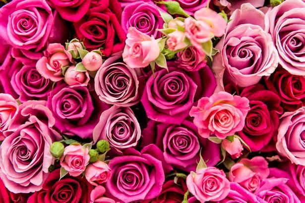Philadelphia: Valentine Day Flowers Deals