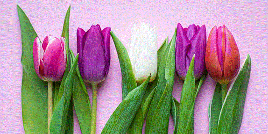 The History of Easter in Pennsylvania: A Cultural Tapestry