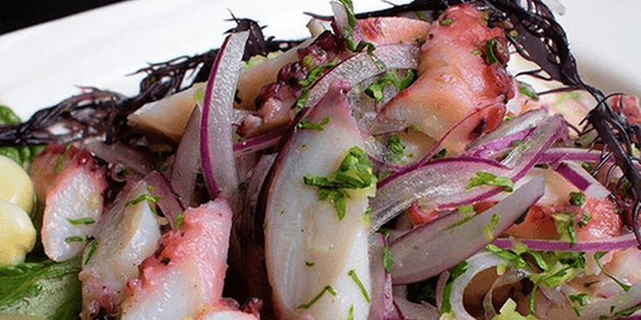 Where to Find The Best Ceviche and Crudo in Philadelphia