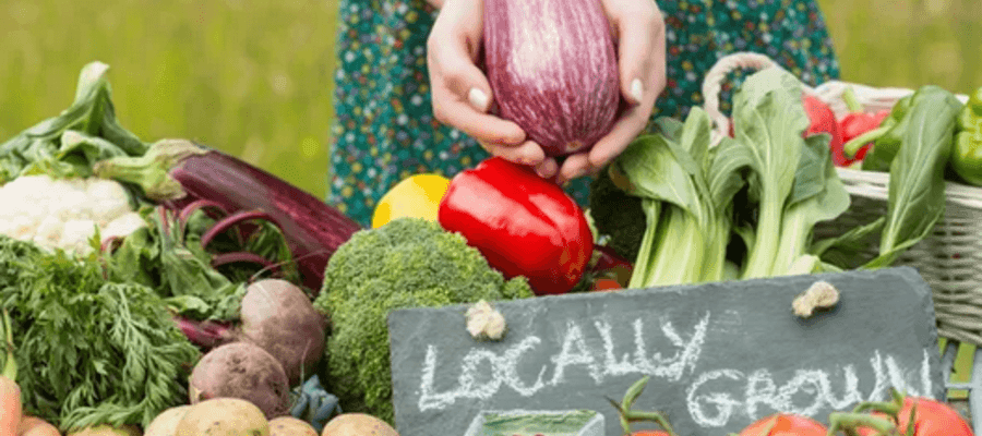 Mount Holly Farmers Market In The Heart Of Downtown