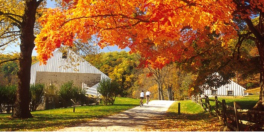 Philadelphia's Most Popular Spots For a Picnic