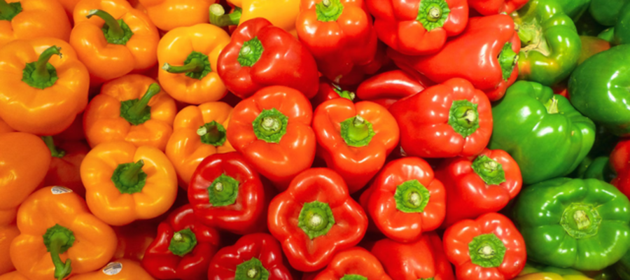 How to Preserve Peppers From Your Garden