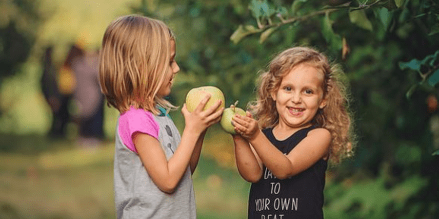 Linvilla Orchards Apple Festival and Pie Eating Contest