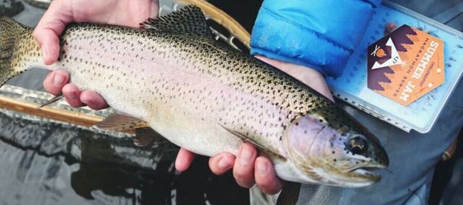 Explore the 10 Best Fishing Spots in Upstate New York