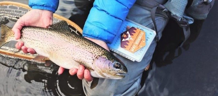 Pennsylvania Mentored Youth Trout Days March 24, April 7 