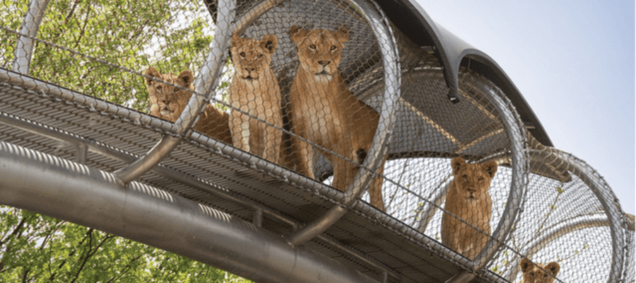 Philadelphia Zoo Announces New Additions for 2019