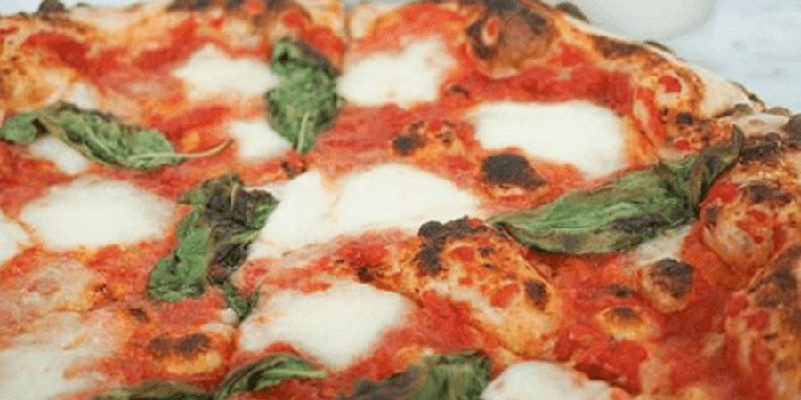 Enza Pizzeria Wyndmoor, PA.