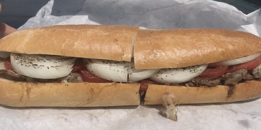Eve's Lunch Norristown PA - Best Zep Sandwich