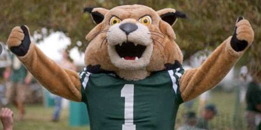 What is The Oldest Collage in The State of Ohio?